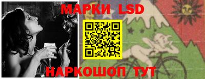 дмт Краснодар