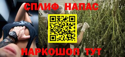 дмт Краснодар