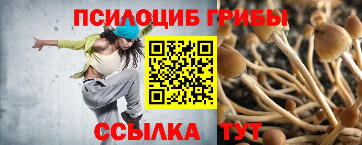 Псилоцибиновые грибы мицелий Сланцы