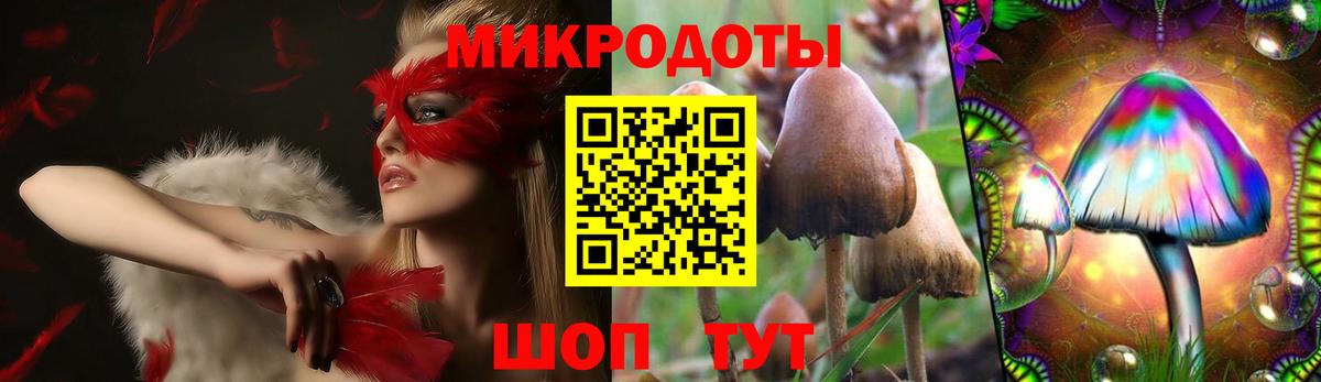 Сланцы  Галлюциногенные грибы MAGIC MUSHROOMS  купить наркотики сайты  Вход с VPN 